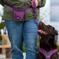 DOG Copenhagen Go Explore Treat Bag makupalapussi, Black