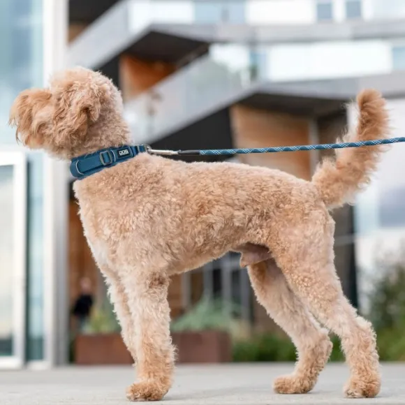 DOG Copenhagen Urban Explorer Collar Desert Dune