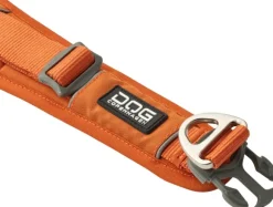 DOG Copenhagen Urban Explorer Collar kaulapanta, Orange Sun