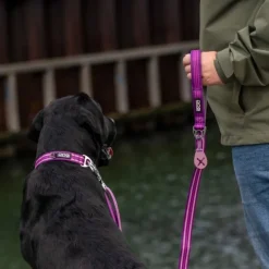 DOG Copenhagen Urban Freestyle Leash talutushihna, Purple Passion