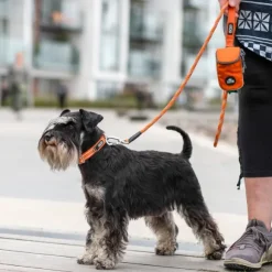 DOG Copenhagen Urban Rope Leash talutushihna, Hunting Green