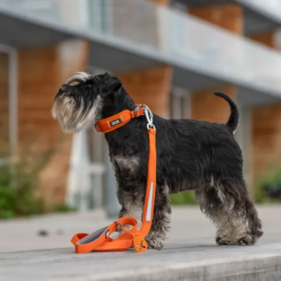 DOG Copenhagen Urban Trail Leash talutushihna, Black