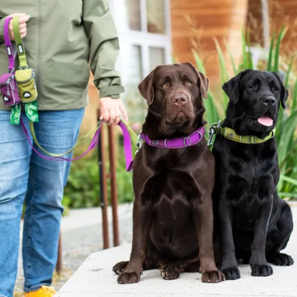 DOG Copenhagen Urban Trail Leash talutushihna, Hunting Green