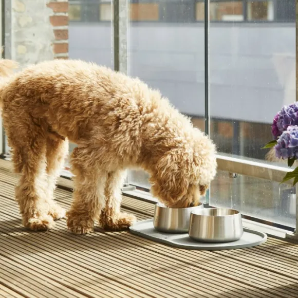 DOG Copenhagen Vega Bowl koirankuppi, M/L, Steel