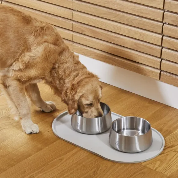 DOG Copenhagen Vega Bowl koirankuppi, M/L, Steel