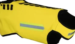 Dogtech One Generation 2 Bundle Yellow