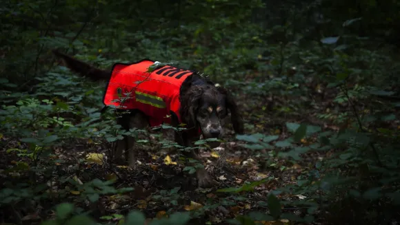 Dogtech ONE Modular Vest Red