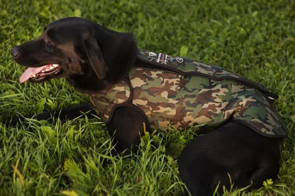 Dogtech Retriever neopreeniliivi, Camo