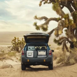 Dometic Portable Gear Storage 20L Insulation eristävä lisäosa säilytyspussiin, tummanharmaa