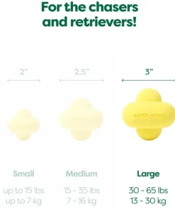 Earth Rated Fetch Toy koiranlelu, Large