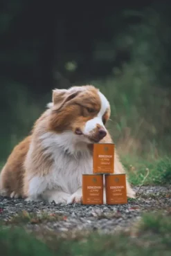 ESSENTIAL FOODS Kingdom Living Pâté 6 x 400 g