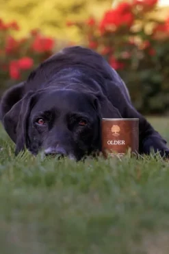 ESSENTIAL FOODS Older Pâté 6 x 400 g