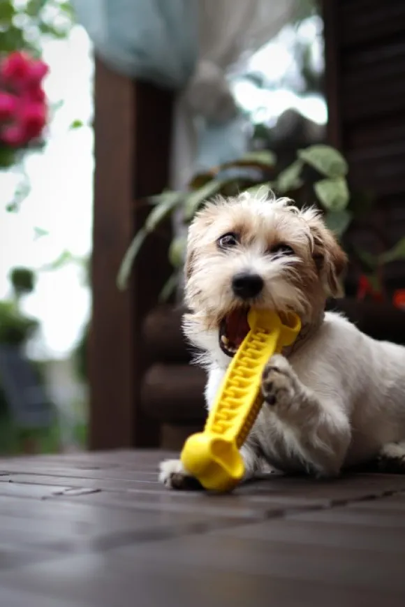 Fiboo kelluva aktivointilelu, 19 cm, vihreä