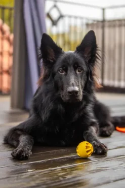 Fiboo kelluva aktivointipallo, keltainen