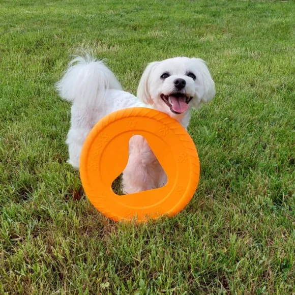 Fiboo kelluva frisbee, 25 cm, oranssi