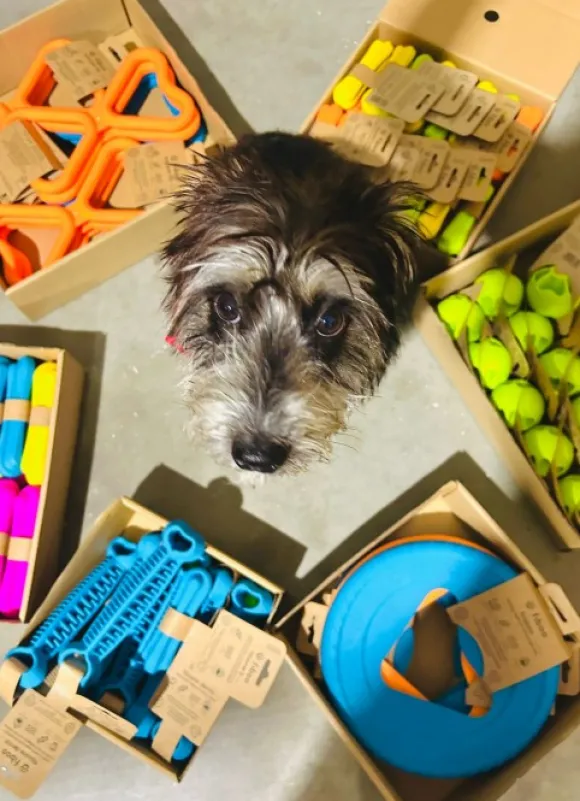 Fiboo kelluva frisbee, 25 cm, oranssi