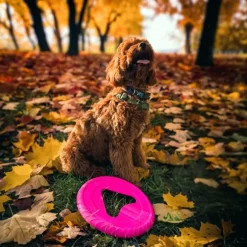 Fiboo kelluva frisbee, 25 cm, roosa