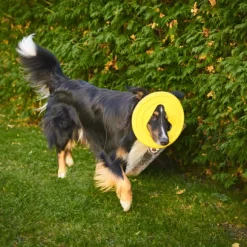 Fiboo kelluva frisbee, 25 cm, sininen