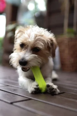 Fiboo kelluva lelu, 19 cm, oranssi