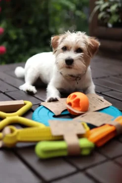 Fiboo kelluva lelu, 12 cm, vihreä