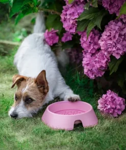 Fiboo koirankuppi, 400ml, beige