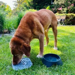 Fiboo koirankuppi, 700ml, beige