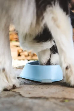 Fiboo koirankuppi, 700ml, vaaleansininen