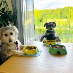 Fiboo koirankuppi, 400ml, vihreä