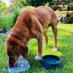 Fiboo Lollipop ruokamatto, 19 cm, vihreä