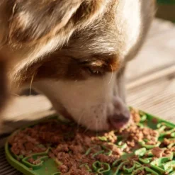 Fiboo Lollipop ruokamatto, 19 cm, harmaa