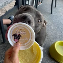 Fidovet koirien jäätelö Gelato Ananas 40g