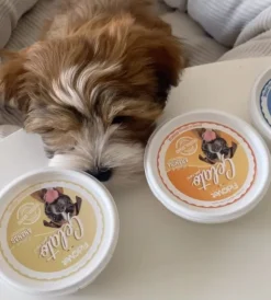 Fidovet koirien jäätelö Gelato Ananas 40g