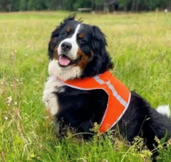 FinNero ATTE huomioliivi, XL, oranssi