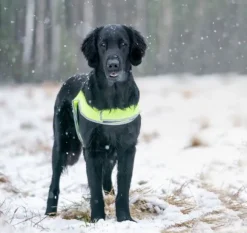 FinNero ATTE huomioliivi, S, neonkeltainen