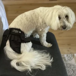 FinNero BALLERINA narttujen juoksuhousut, S, musta