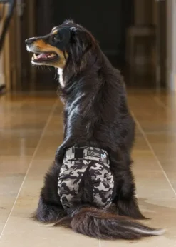 FinNero BRENDA narttujen juoksuhousut, XS-S, camo