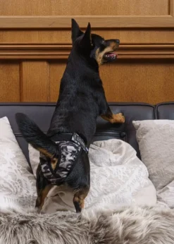 FinNero BRENDA narttujen juoksuhousut, XS-S, camo