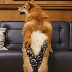 FinNero BRENDA narttujen juoksuhousut, XS-S, camo