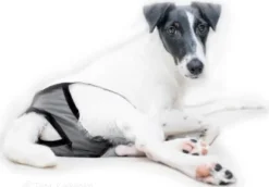 FinNero BRENDA narttujen juoksuhousut, M-XL, tummanharmaa