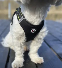 FinNero HALI liivivaljaat, L, musta/keltainen