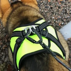 FinNero HALI liivivaljaat, S, musta/keltainen