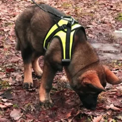 FinNero HALI liivivaljaat, S, musta/keltainen