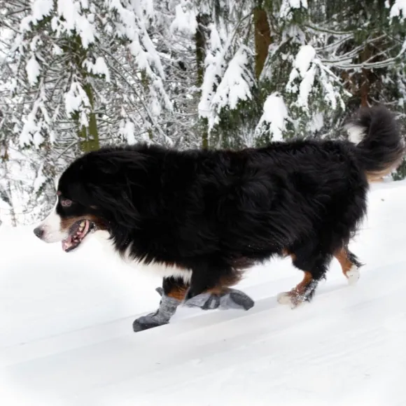 FinNero HALLA LUX tossut, M-L, 2 kpl, harmaa