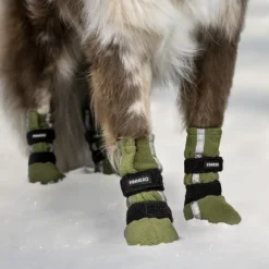 FinNero Hundsko HALLA koiran tossut, XL, 4-pack, Reflex Grön