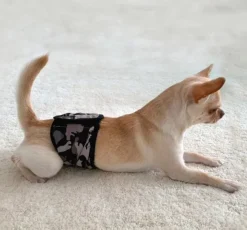 FinNero JustinCase urossuoja, XS, camo