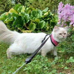 FinNero LIGHT Reflective Harness Pink S