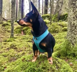 FinNero LIGHT Reflective Harness Black M