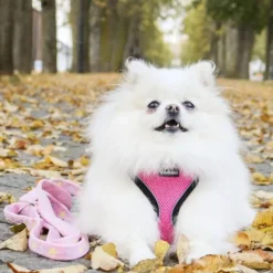 FinNero LIGHT Reflective Harness Pink L