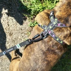 FinNero RESCUE luistamaton talutushihna, 1,5 cm, musta