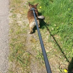 FinNero RESCUE luistamaton talutushihna, 1,5 cm, musta